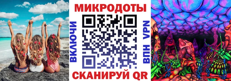 Галлюциногенные грибы Psilocybe  Нестеров 